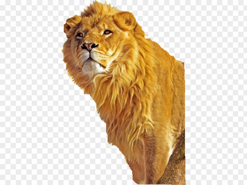 Leon Lion Simba Mufasa Tiger Clip Art PNG