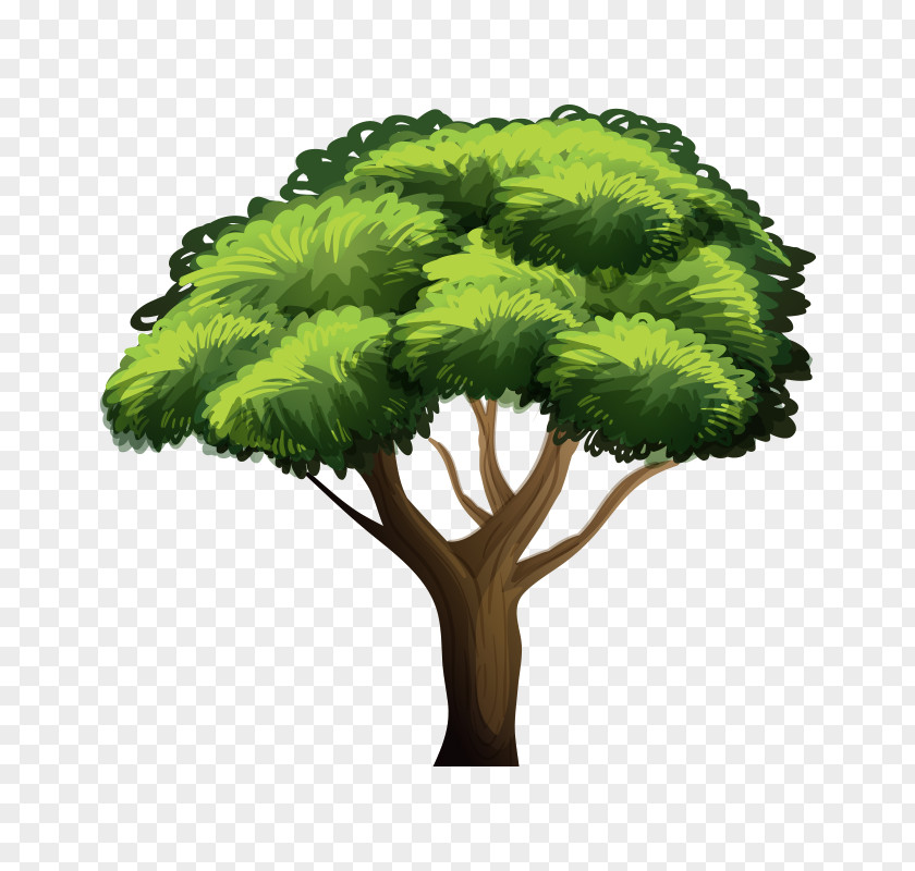 Tree,Trees Tree Royalty-free Illustration PNG