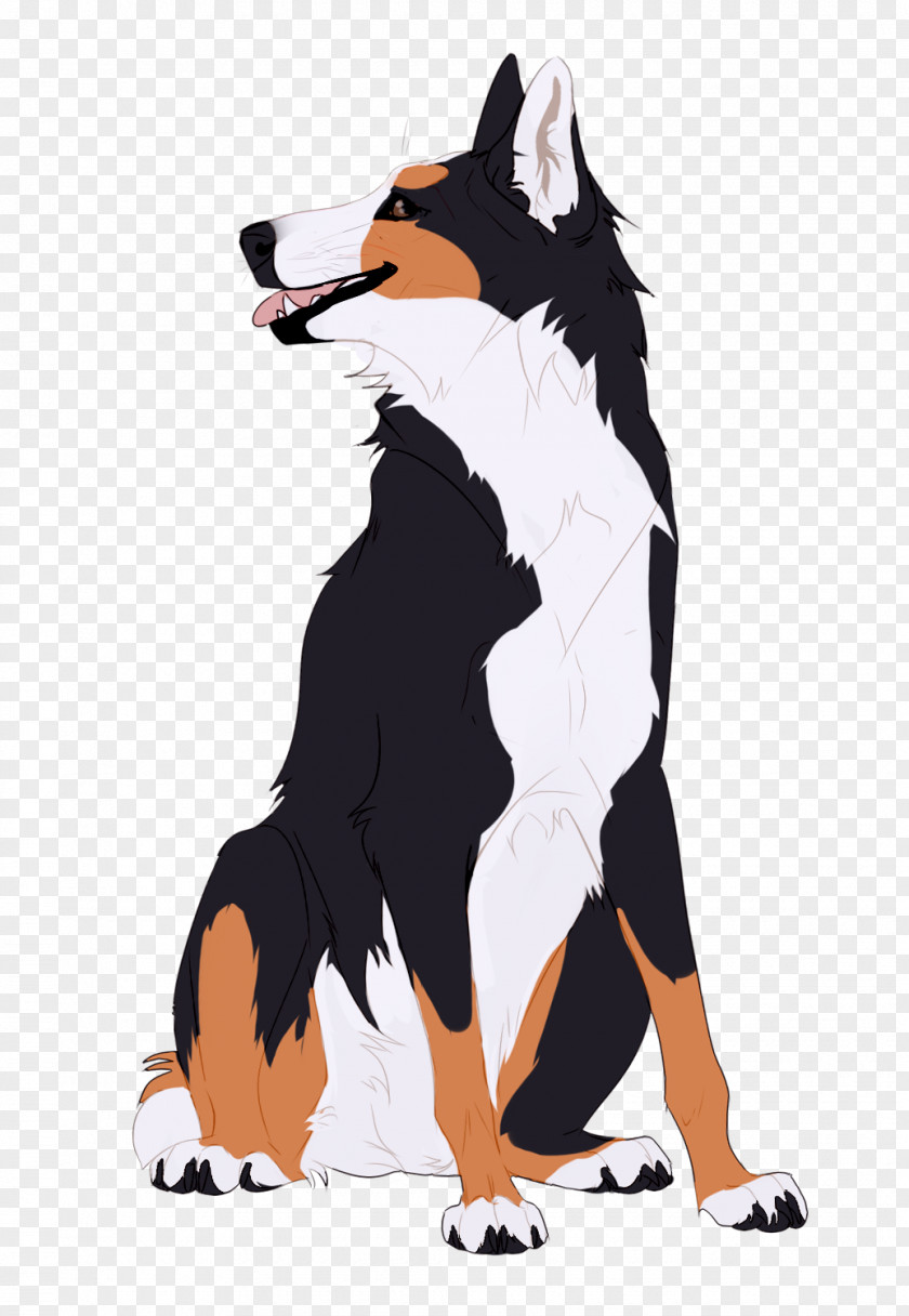 Delilah Infographic Dog Breed Border Collie Illustration Graphics PNG