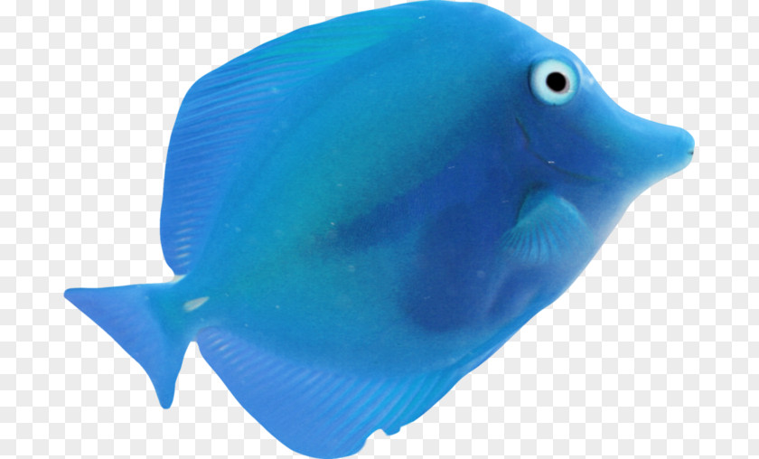 Fish Blue Sea PNG