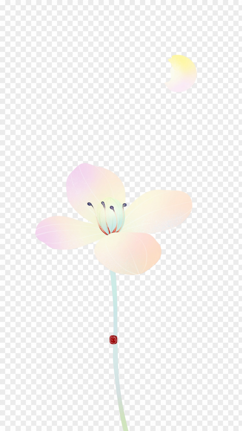 Flower Petal Pinwheel Computer M PNG