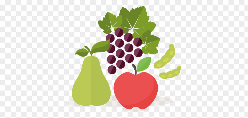 Grape Juice Vegetable Fruit PNG