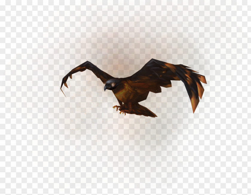Hawk RuneScape Bird Of Prey Accipitriformes PNG