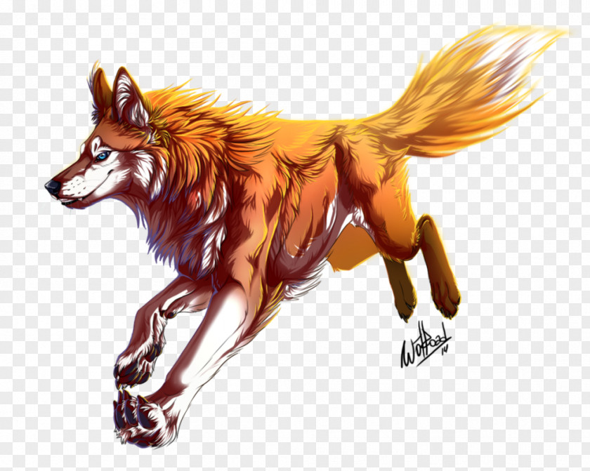 Redhead Red Fox Drawing DeviantArt Gray Wolf PNG
