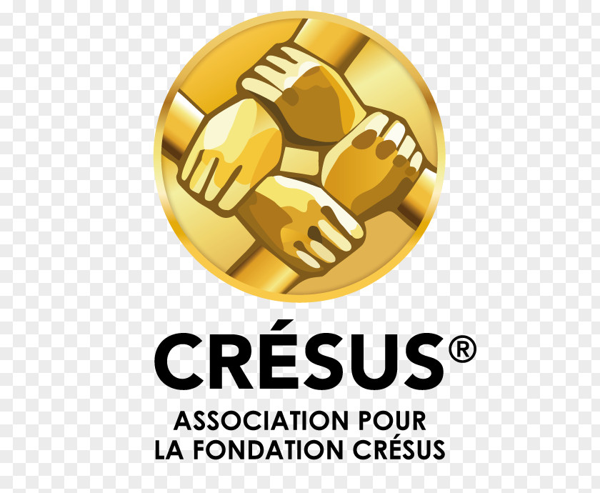 Report Summary Cresus Ile-de-France Foundation Voluntary Association Haushaltsnotlage Communauté De Communes Du Pays La Zorn PNG