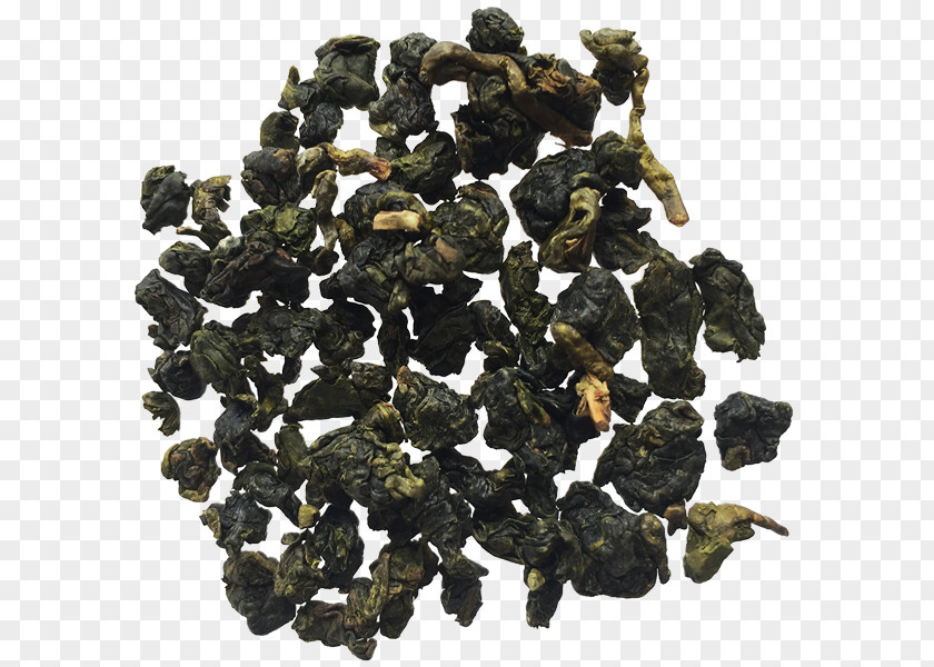 Tea Oolong Nilgiri Matcha Taiwanese PNG