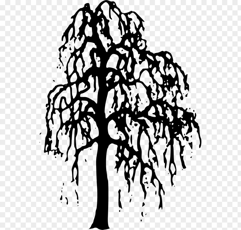 Tree Willow Clip Art PNG