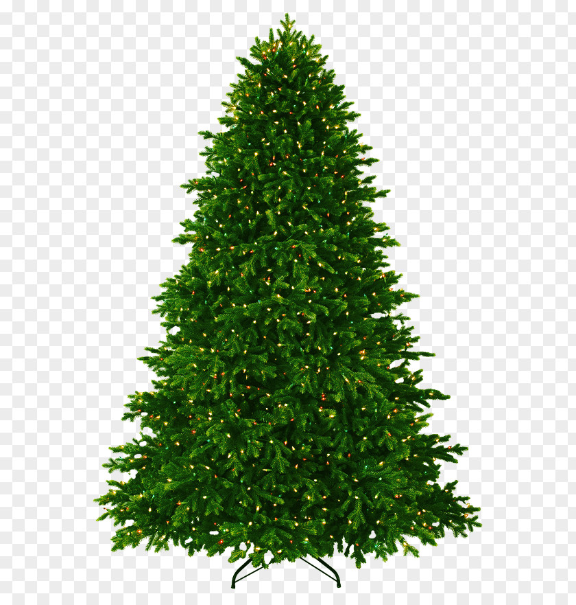 Christmas Tree With Lights PNG