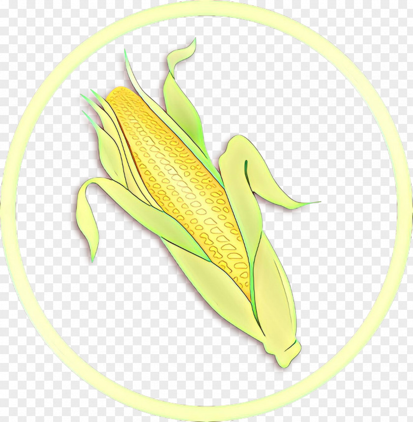 Corn On The Cob Yellow Plant Leaf Vegetarian Food PNG