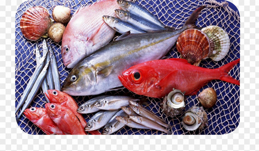 Fish Seafood Atlantic Salmon PNG
