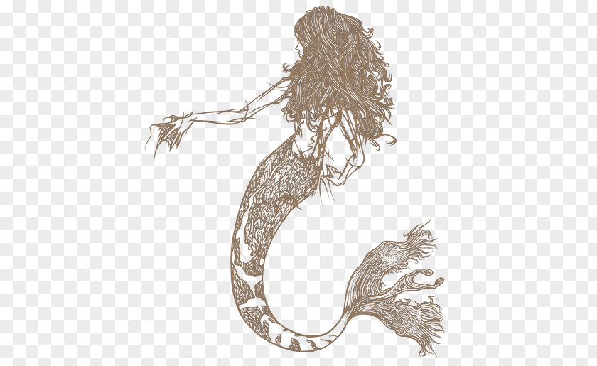Mermaid Ariel Line Art Drawing PNG