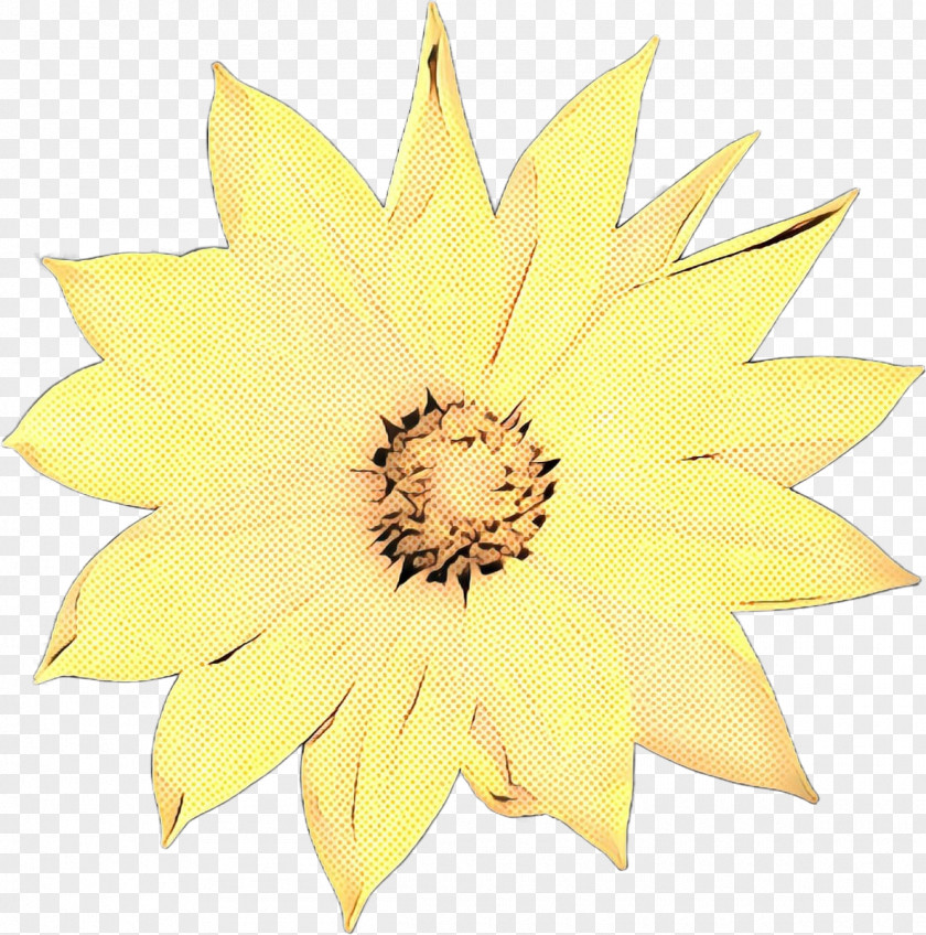 Common Sunflower Seed Cut Flowers Yellow Petal PNG