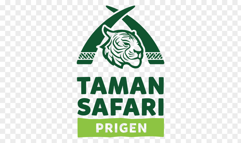Cotton Top Tamarin Animal Taman Safari Indonesia 2 Bogor Bali And Marine Park PNG