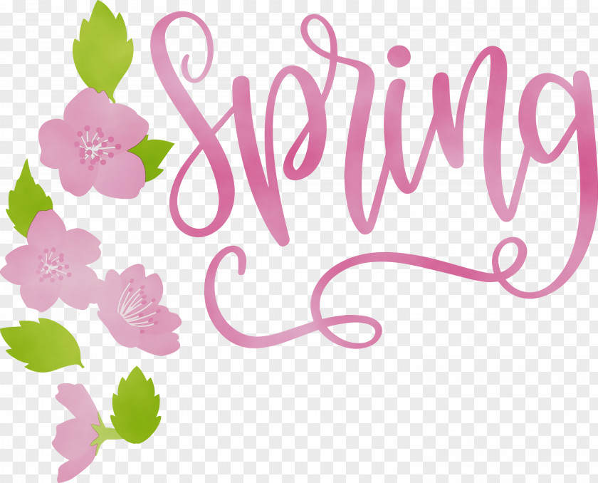 Floral Design PNG