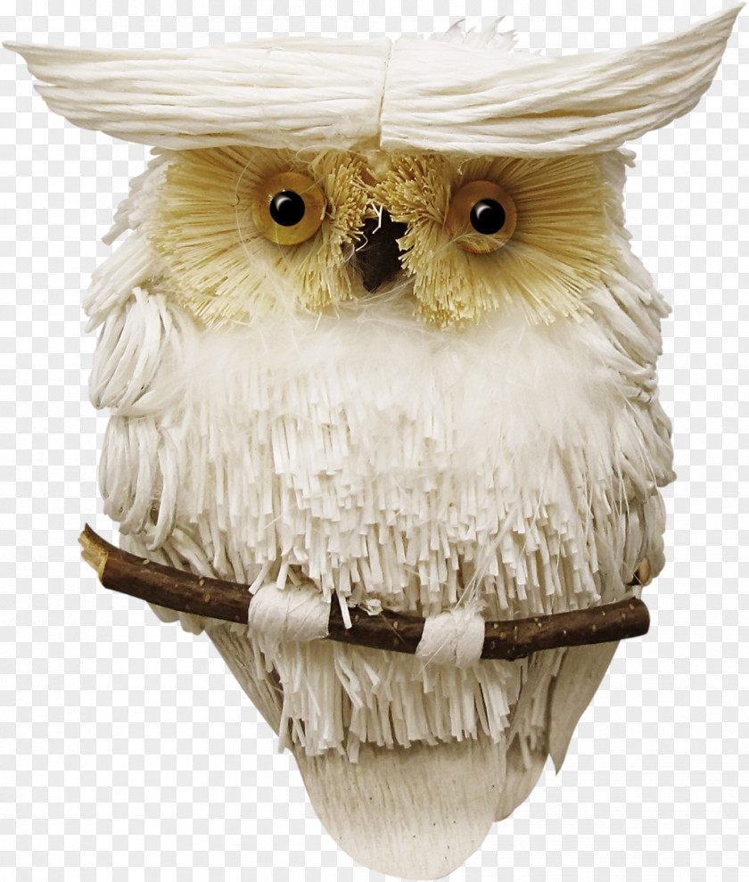 Gull Owl Bird PaintShop Pro Clip Art PNG