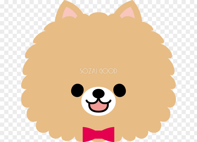 Puppy Pomeranian Snout Whiskers PNG