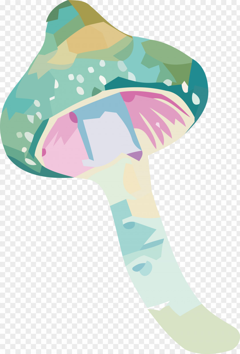 Shoe Headgear Teal PNG