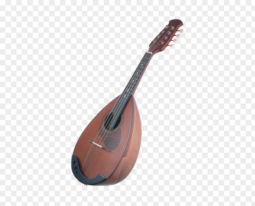 Brown Acoustic Guitar Musical Instrument Mandolin PNG