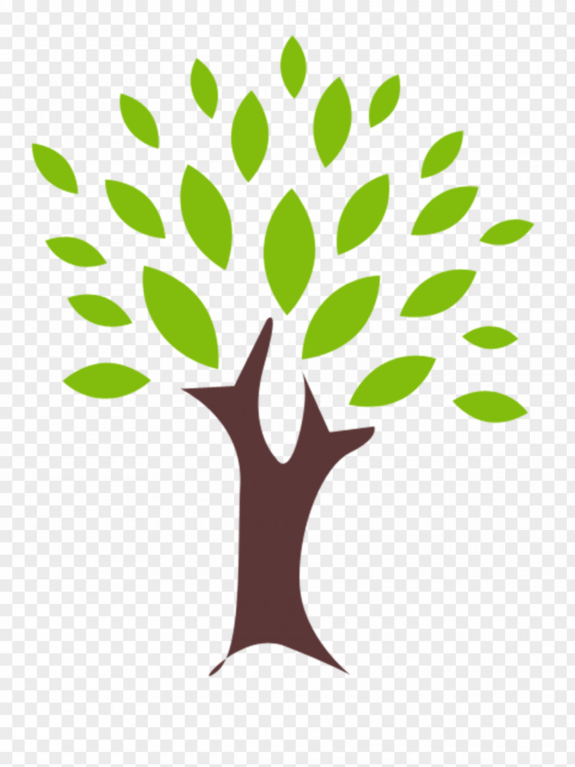 Class Room Tree Drawing Clip Art PNG