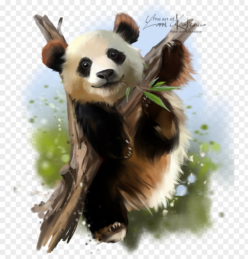 Giant Panda Paper Red Watercolor Painting PNG