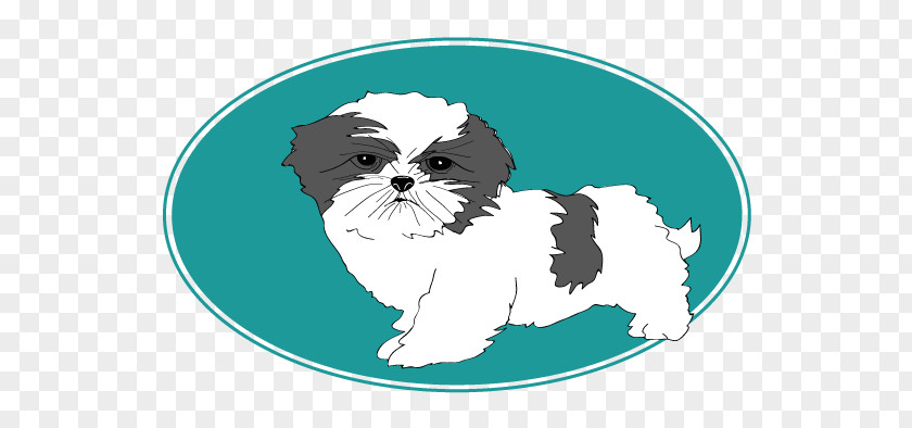 Shi Tzu Shih Puppy Companion Dog Breed Coton De Tulear PNG