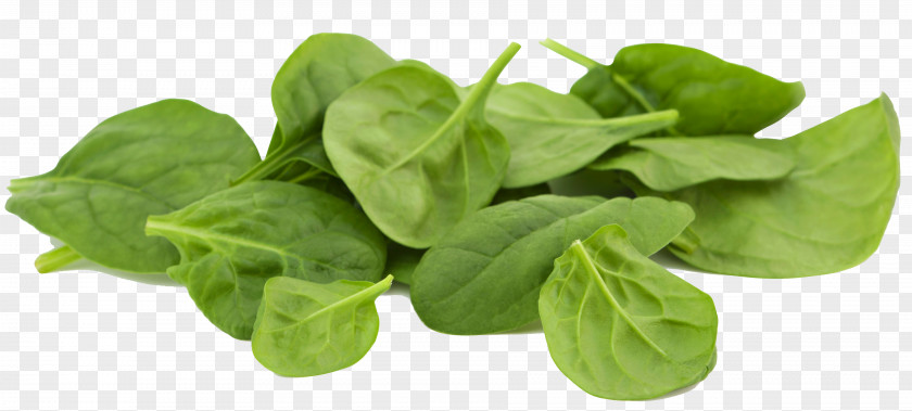 Spinach Leaf Healthy Diet Food Vitamin Eating PNG