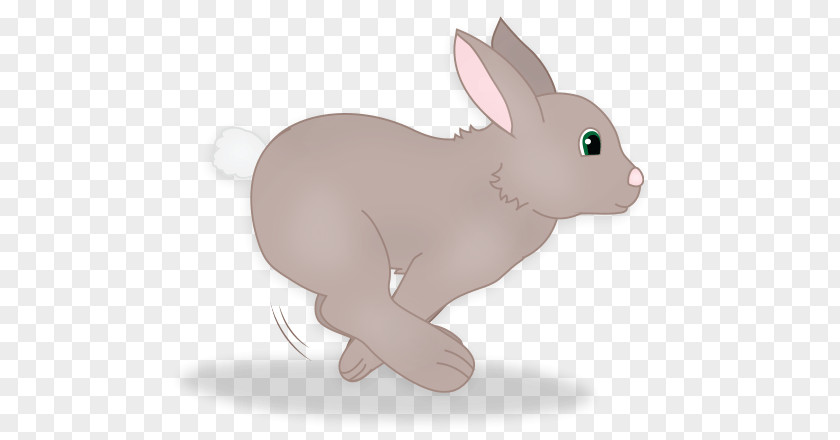 Too Fast Domestic Rabbit Hare Easter Bunny Whiskers PNG