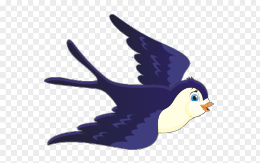 Bird Barn Swallow Pre-school PNG