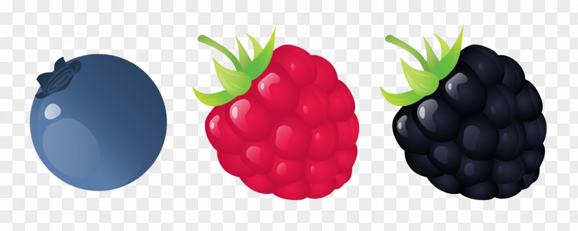 Blueberries Emojipedia IPhone Blueberry PNG