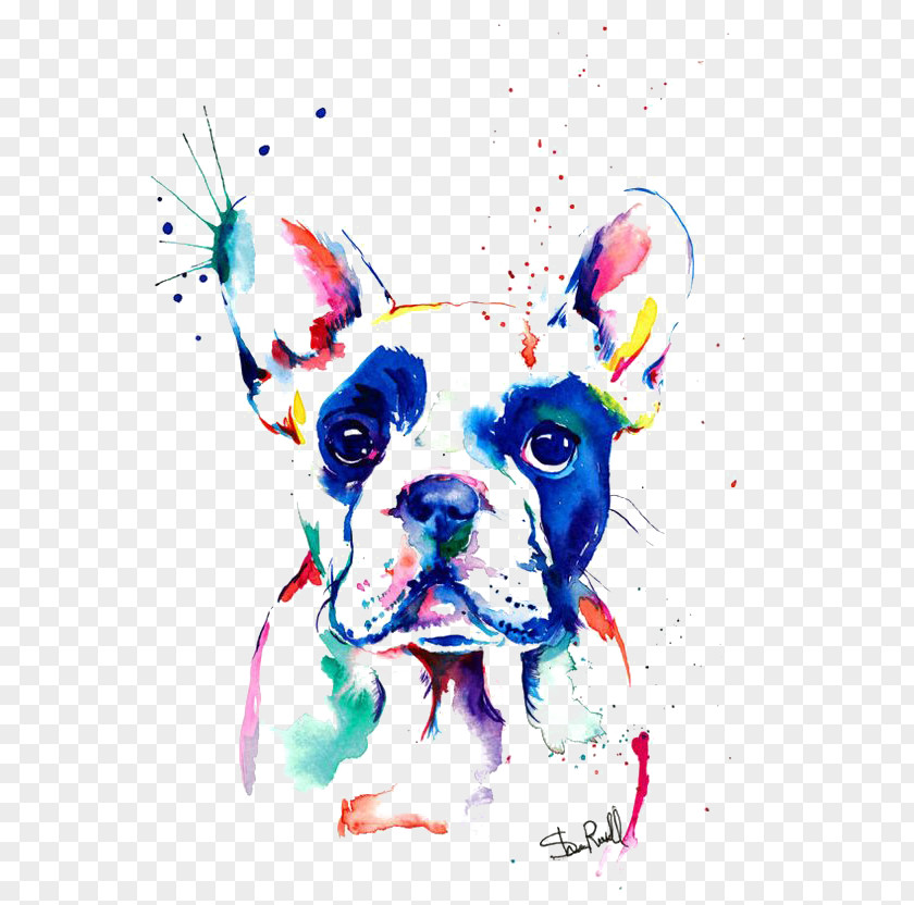 Bulldog French Watercolor Painting Drawing PNG