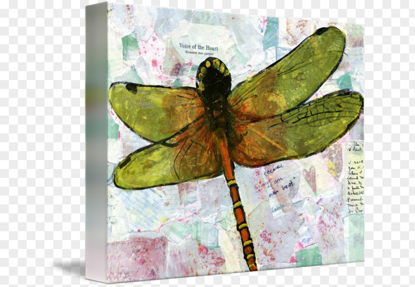 Dragon Fly Insect Watercolor Painting Artist PNG