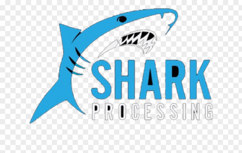 Logo Shark Brand Design Product PNG