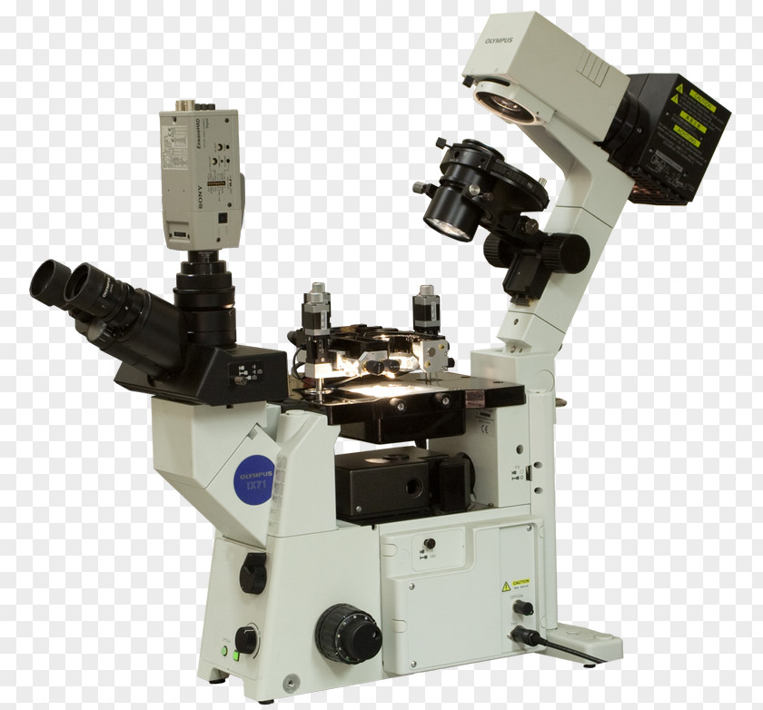 Optical Microscope Scanning Tunneling Probe Microscopy Atomic Force PNG