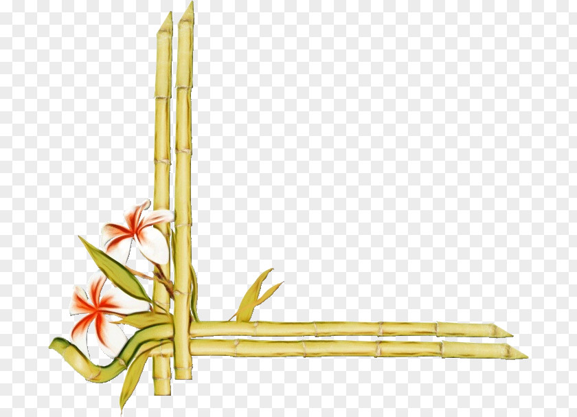 Twig Plant Bamboo Background PNG
