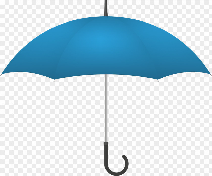 Umbrella Information PNG