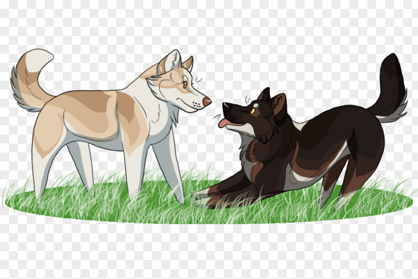 Why Don't We Dog Breed Animated Cartoon PNG