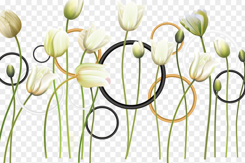 Elegant Tulips Tulip Flower PNG