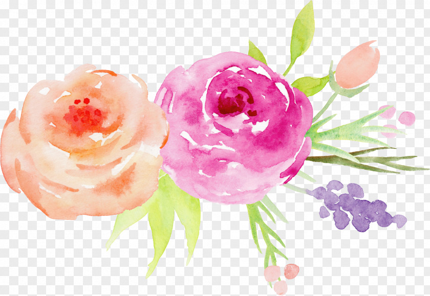 Hand-painted Watercolor Roses Decorative Elements Flower Painting Garden PNG