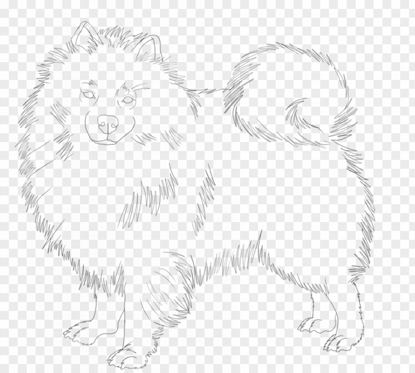 Puppy Pomeranian German Spitz Klein Mittel Volpino Italiano Samoyed Dog PNG