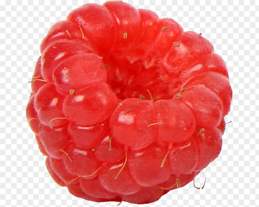 Raspberry Amora Red Fruit Dewberry PNG