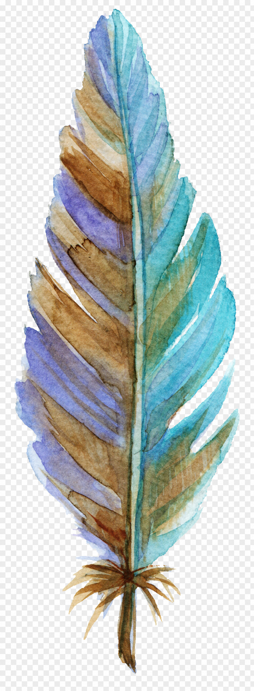 Blue Feather Leaves Leaf Texture Mapping PNG