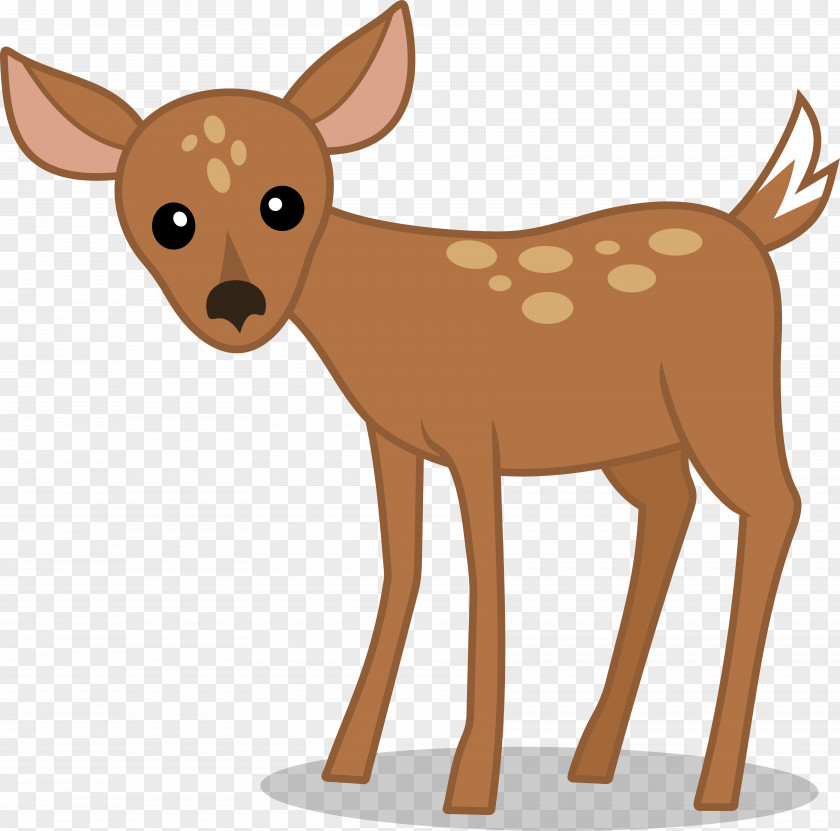 Deer White-tailed Reindeer Pony Clip Art PNG