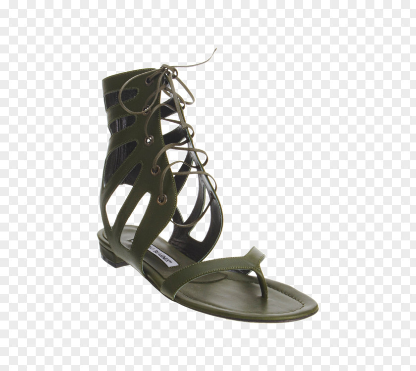 Designer Shoe Flip-flops PNG