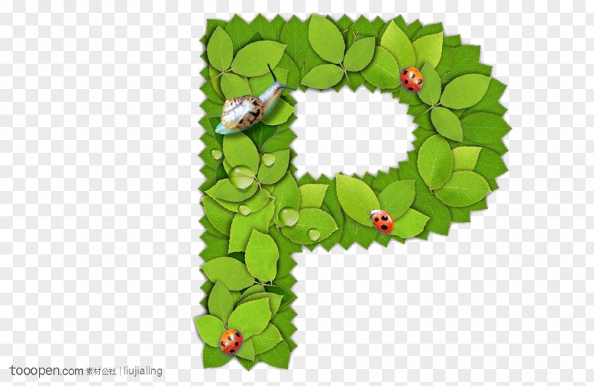 Letter P English Alphabet PNG