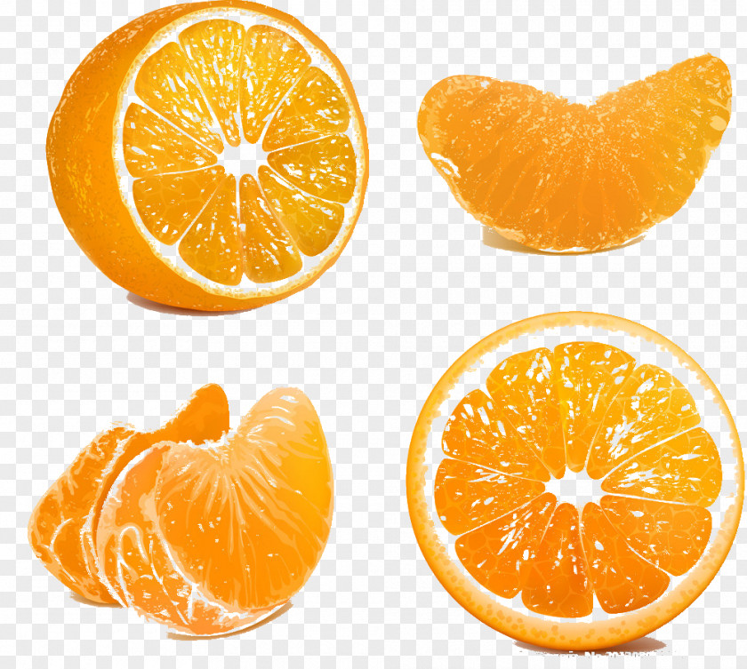 Orange Royalty-free Clip Art PNG