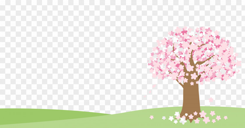 Beautiful Cherry Tree Blossom Hanami Illustration PNG