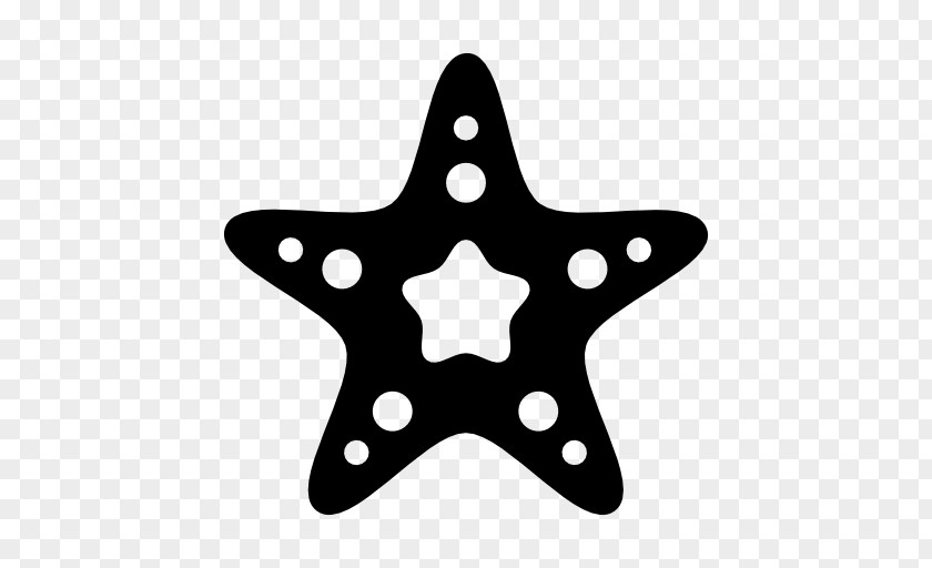 Five-pointed Shape Drawing Starfish PNG