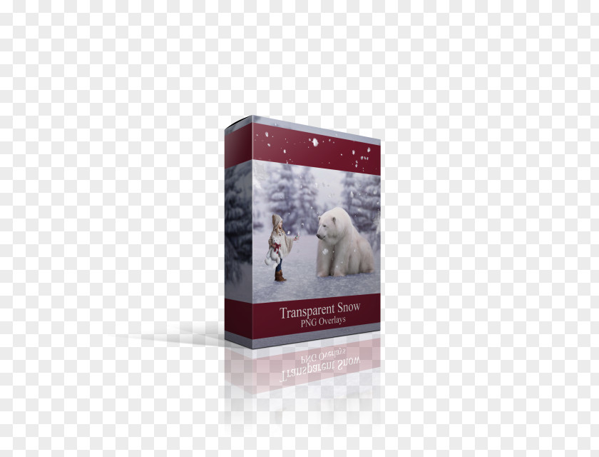 Snow Overlay Brand PNG