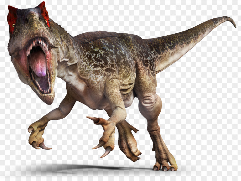 T Rex Allosaurus Saurophaganax Tyrannosaurus Theropods Torvosaurus PNG