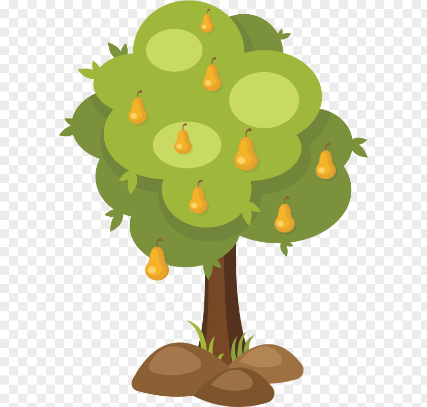 Tree Chinese White Pear Clip Art PNG